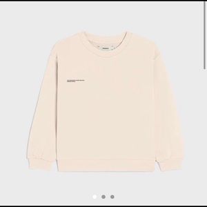 Pangaia Sweatshirt in Sand